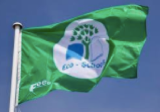 Afbeelding eco schools vlag